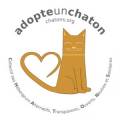 sticker_chatonok-300x300.jpg